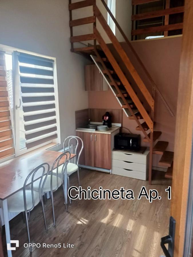 Casa Lucaciu Villa